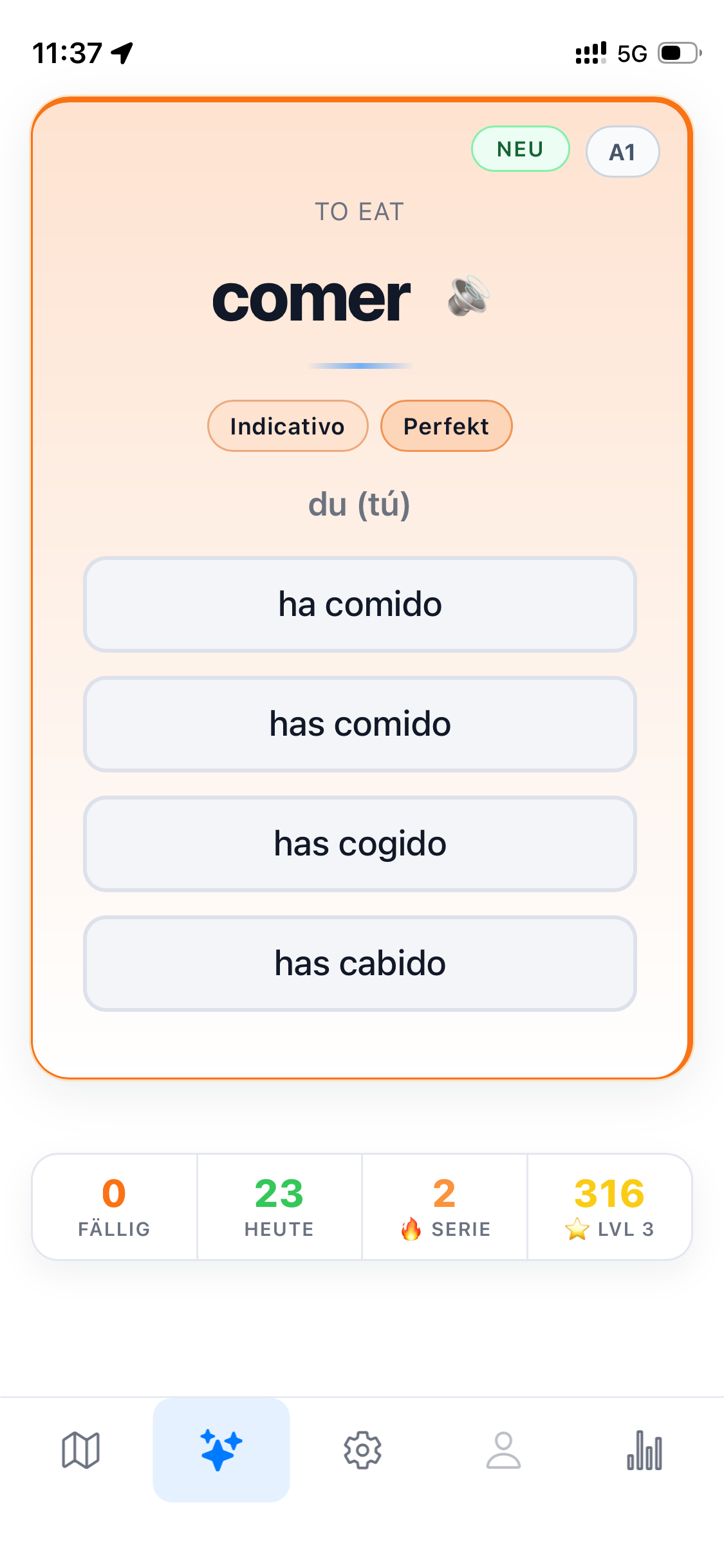 Indicativo Pretérito perfecto – oranger Rahmen